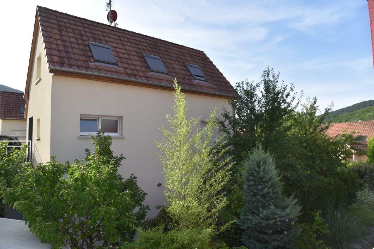 Le Cerisier Villa Kaysersberg-Vignoble Exterior photo